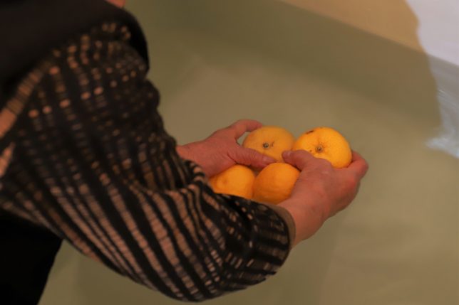 祖母（おばあ）が風呂に柚子を入れているところ