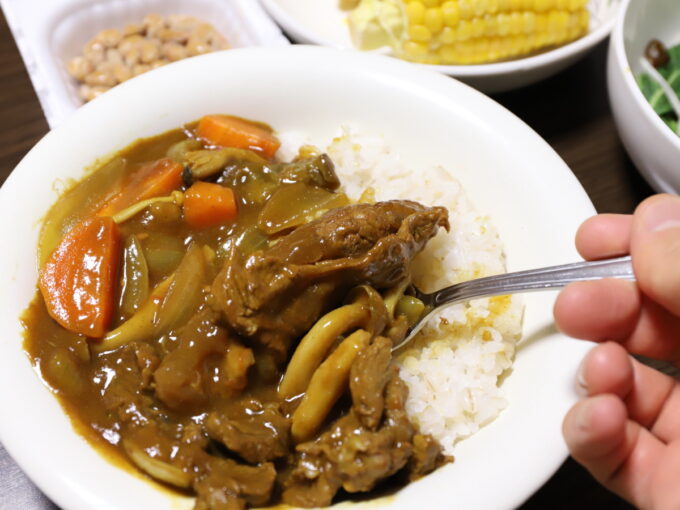 皿に盛り付けた牛すじカレーの牛すじをスプーンですくっている