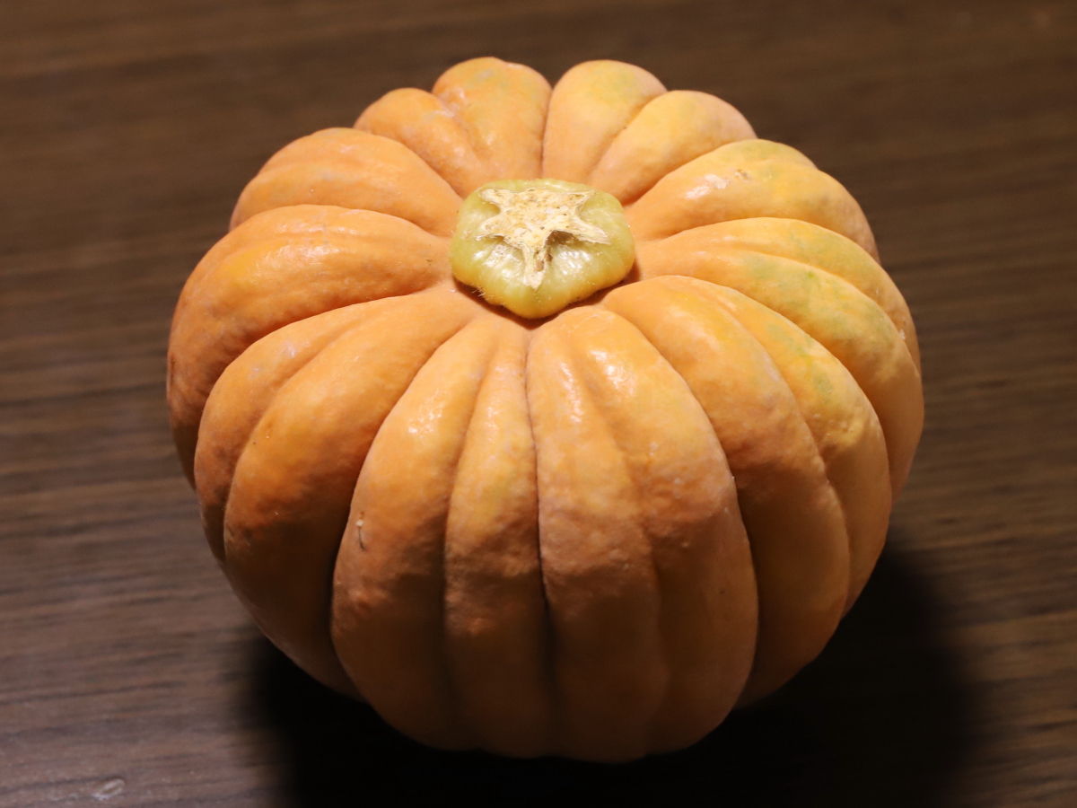 小菊かぼちゃ