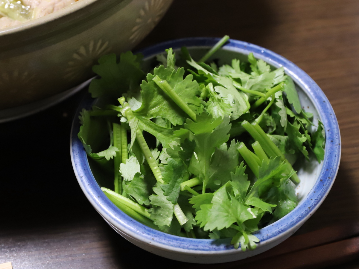 小皿に盛りつけたパクチー